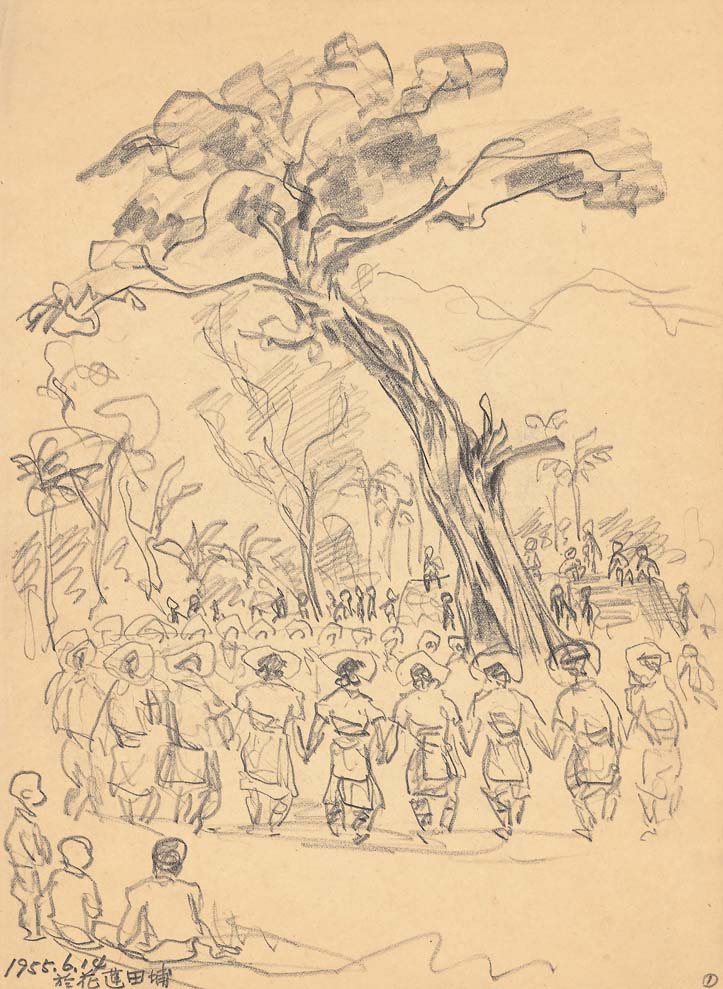 原住民系列(一)